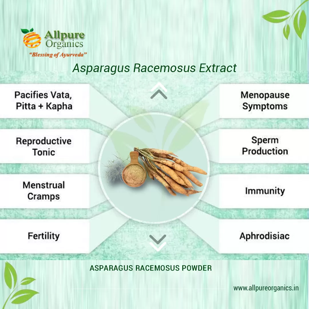 Asparagus-Racemosus-Extract