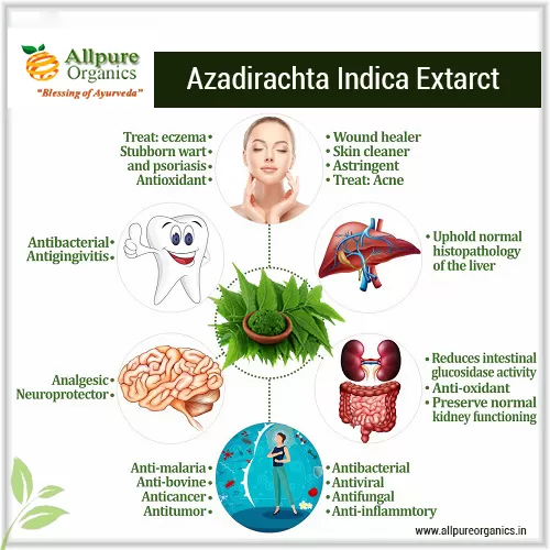 Azadirachta-Indica-Extarct