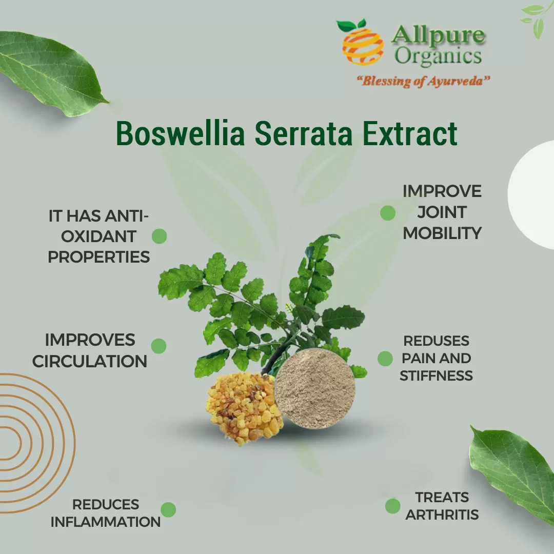 Boswellia-Serrata-Extract