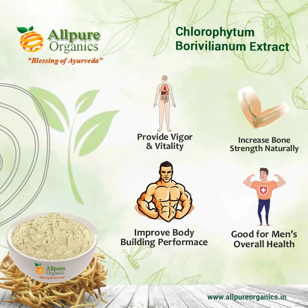 Chlorophytum-Borivilianum-Extract