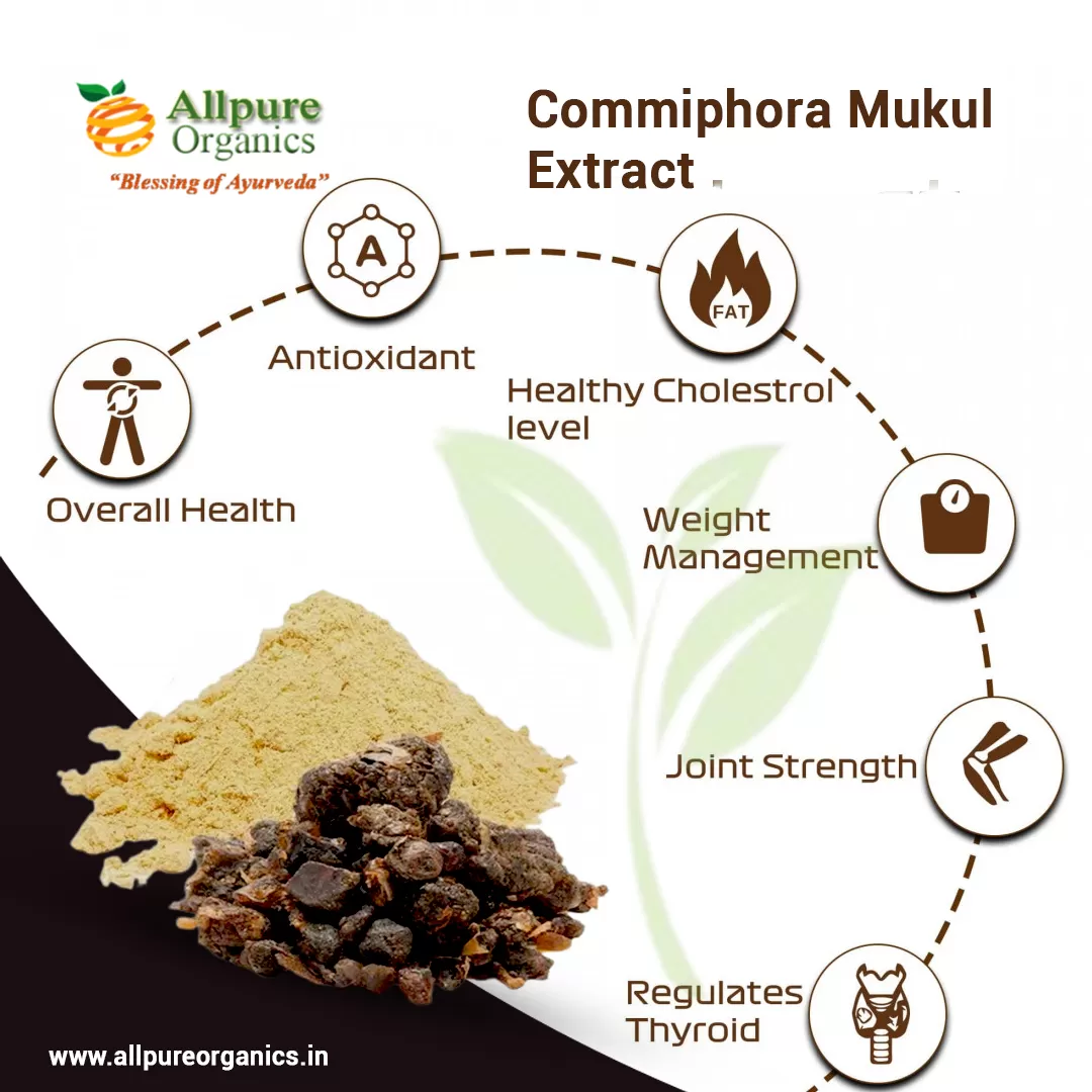 Commiphora-Mukul-Extract-3