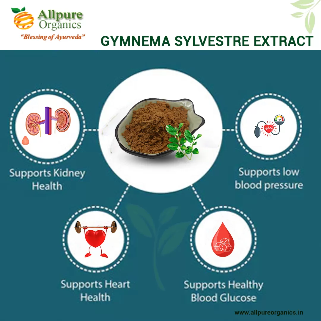 Gymnema-Sylvestre-Extract-1