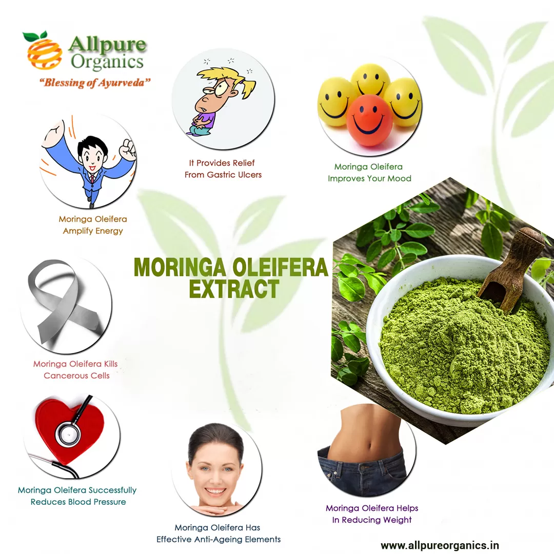 Moringa-Oleifera-Extract