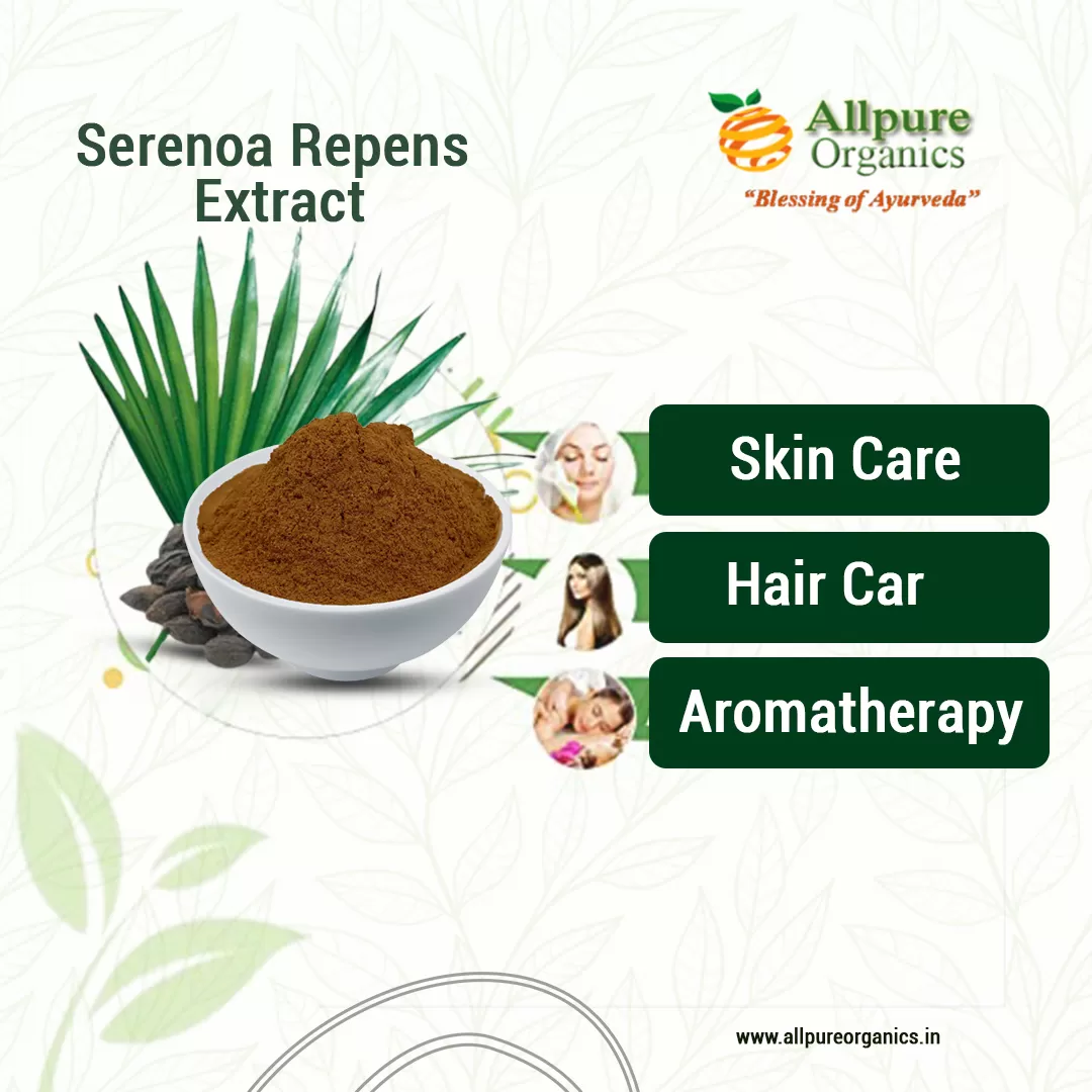 Serenoa-Repens-1