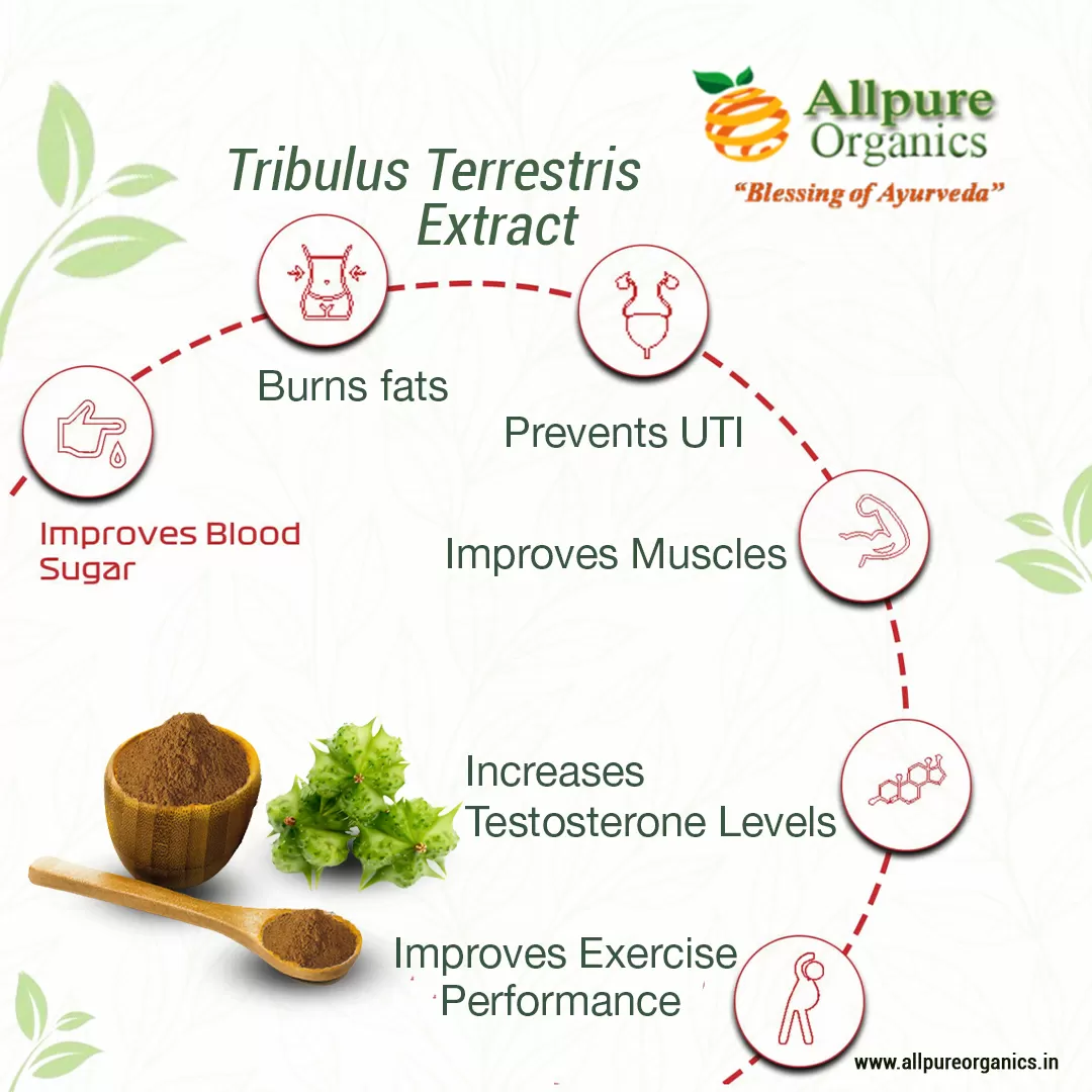 Tribulus-Terrestris-Extract