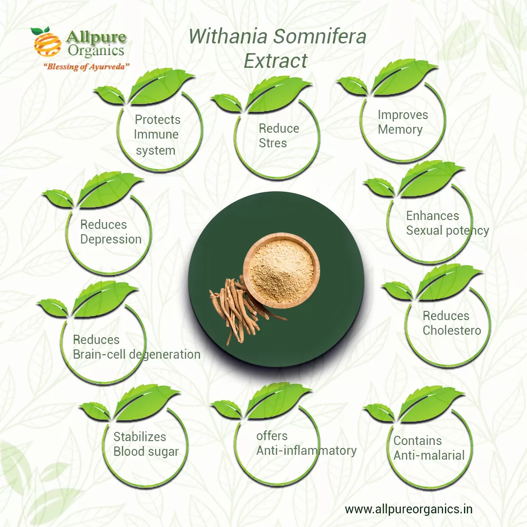 Withania-Somnifera-Extract