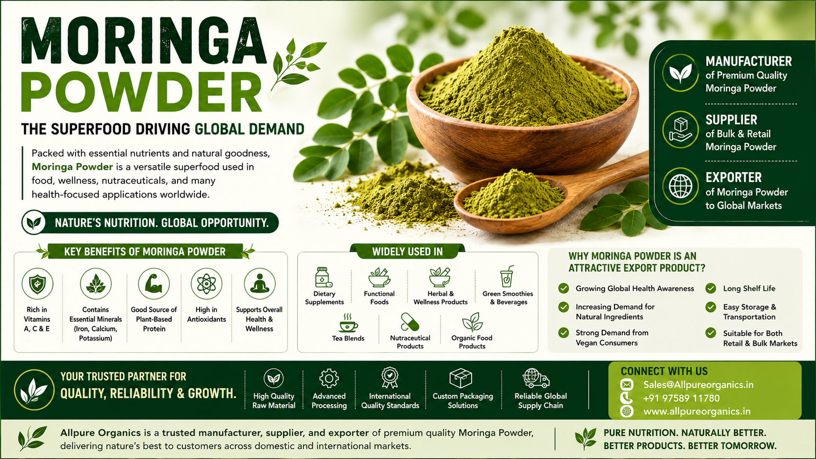 Moringa Powder Manufacturer in India
